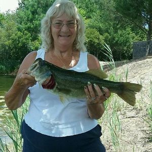 Meet your Posher, Vernadine